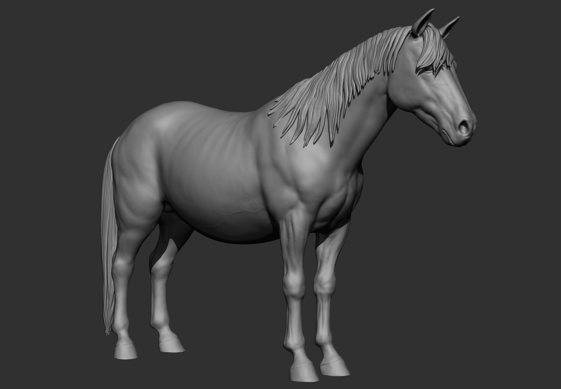 6 Horse types 3D model_117