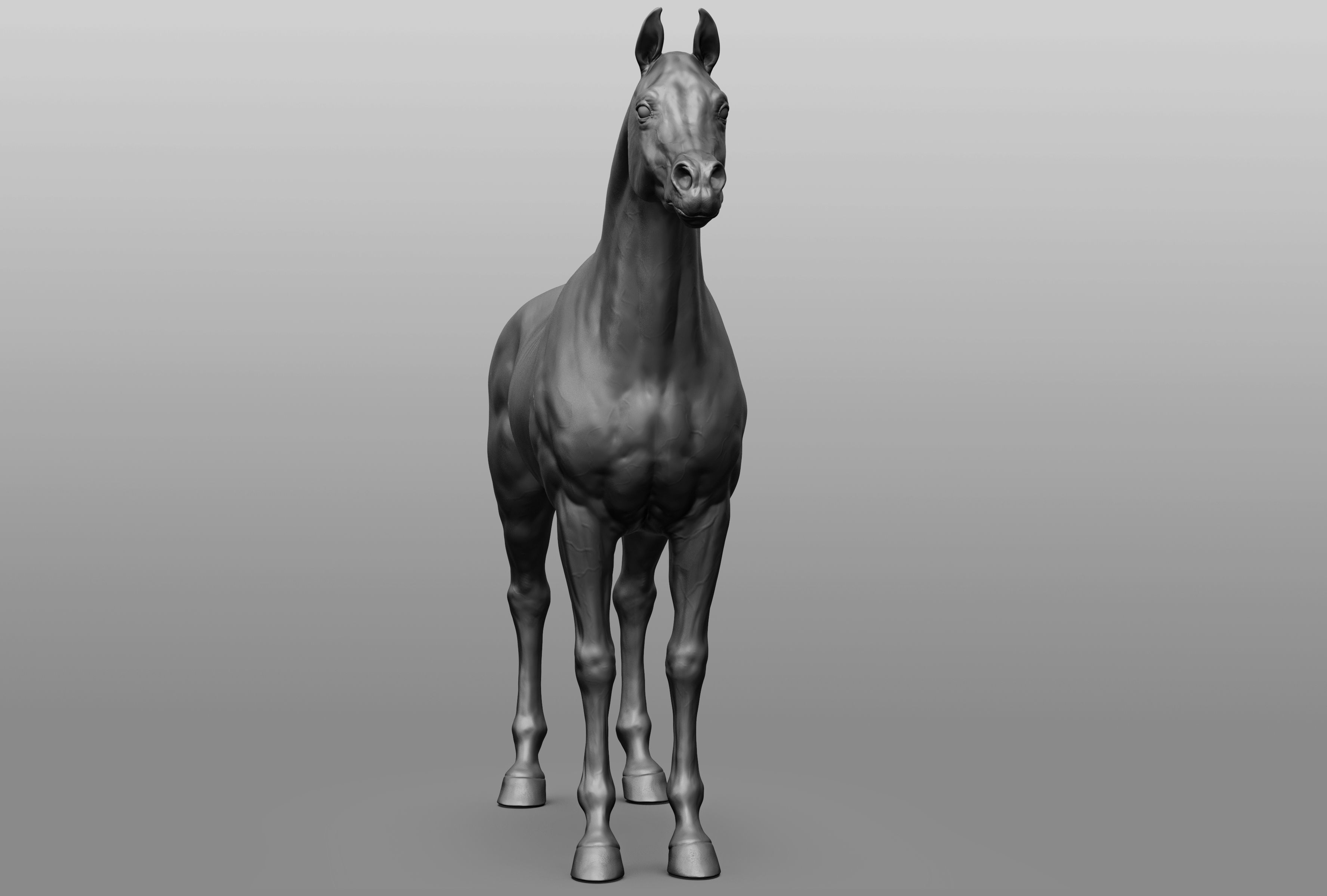 6 Horse types 3D model_9