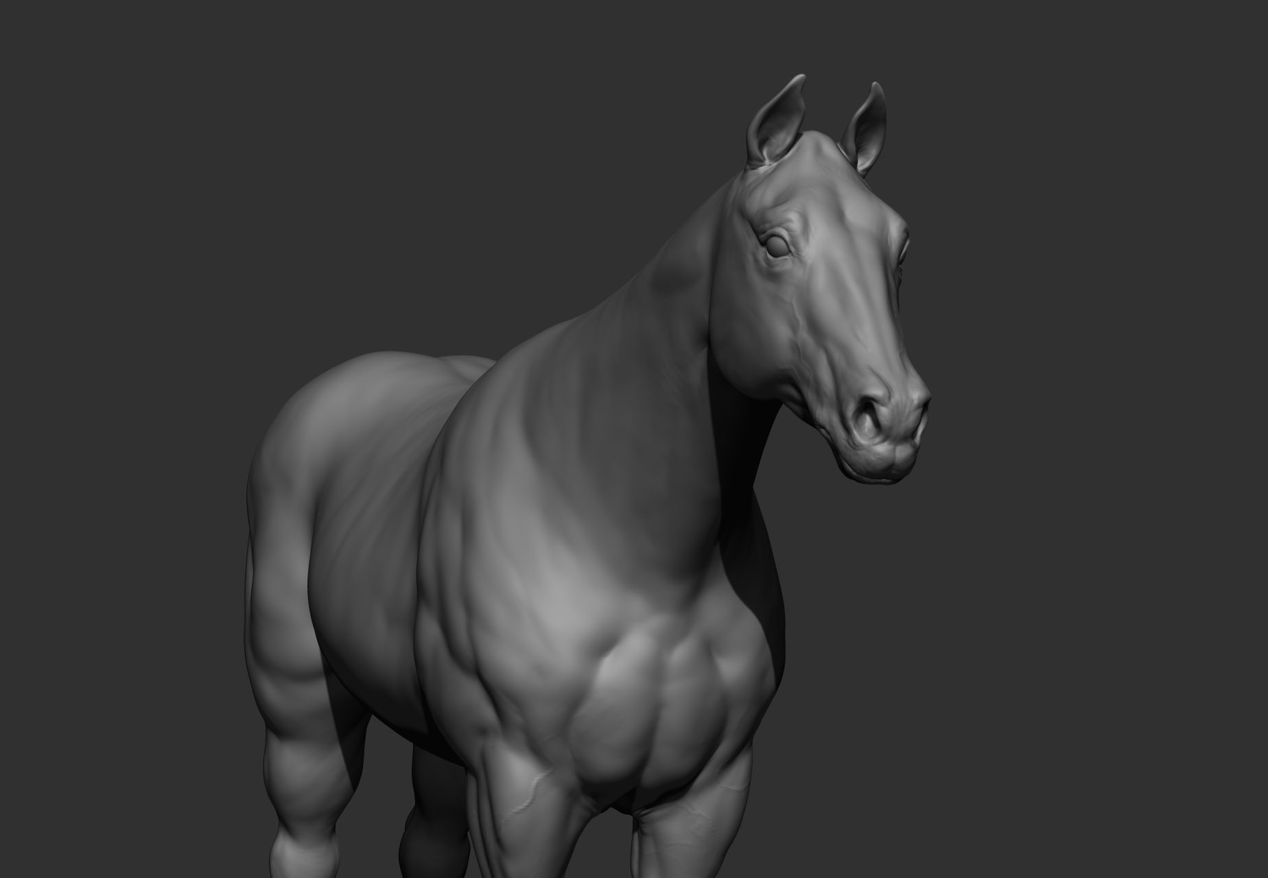 6 Horse types 3D model_86