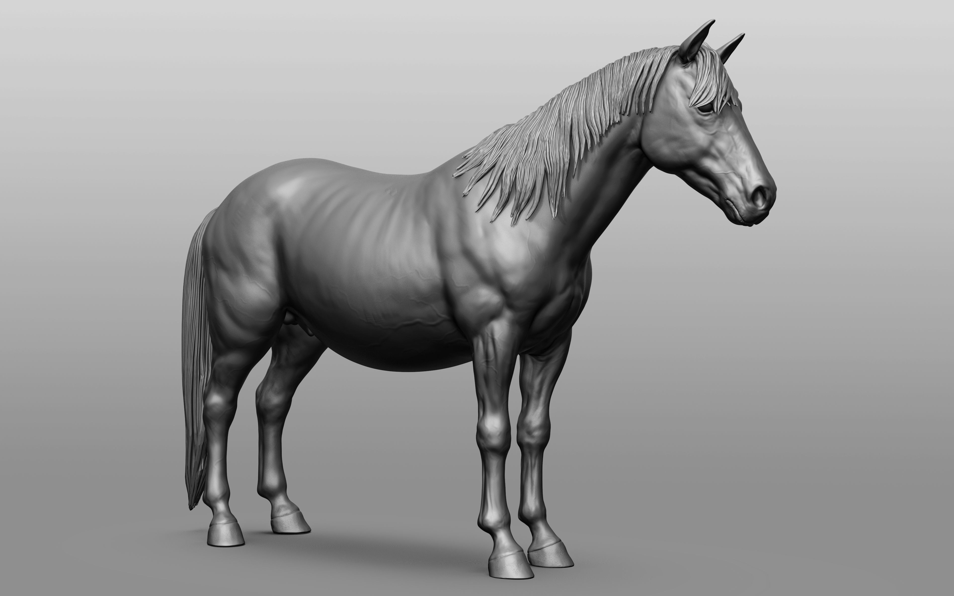 6 Horse types 3D model_110