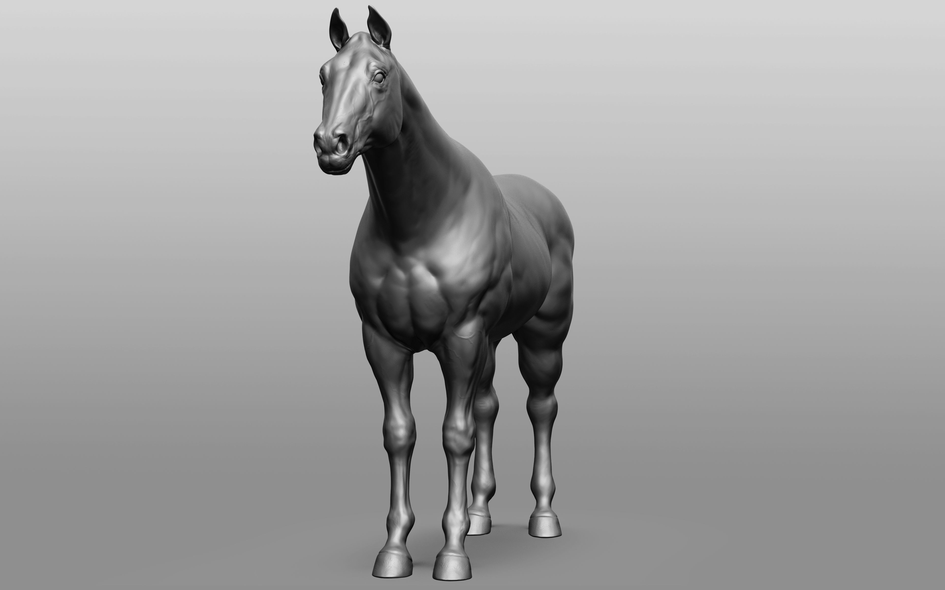 6 Horse types 3D model_80