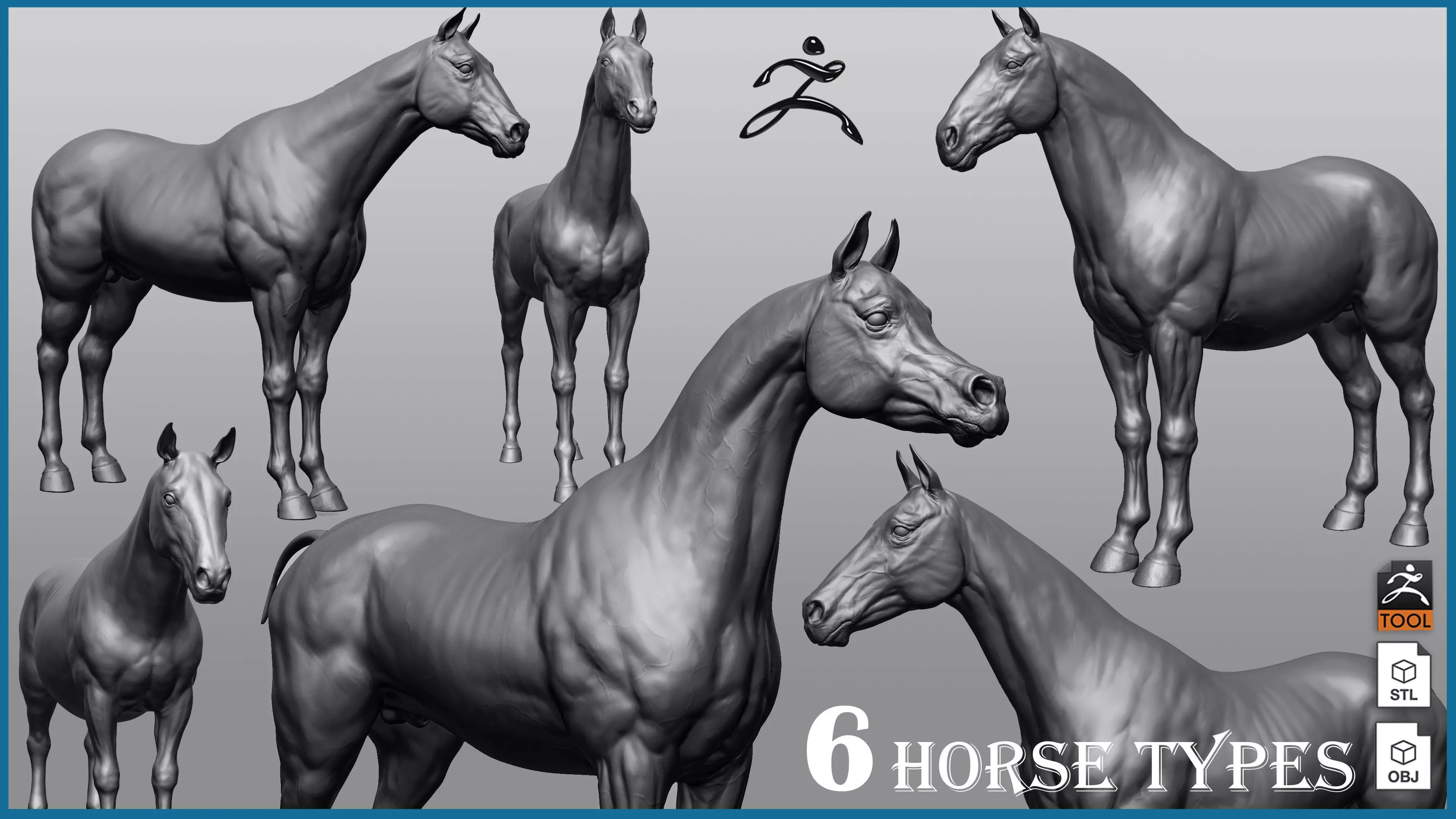 6 Horse types 3D model_0