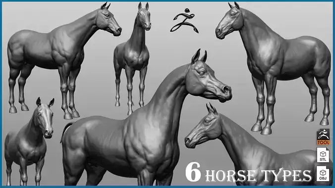 6 Horse types 3D model