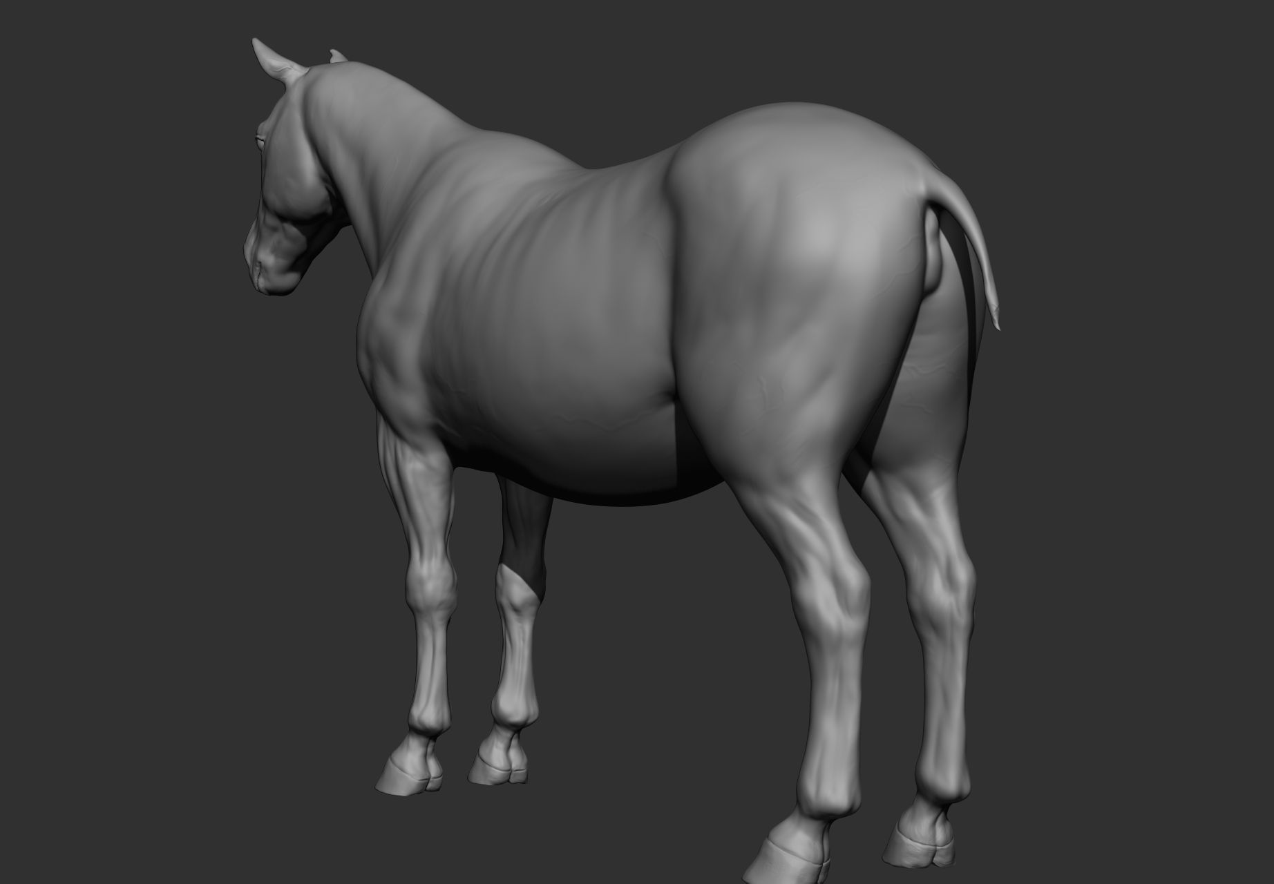 6 Horse types 3D model_113