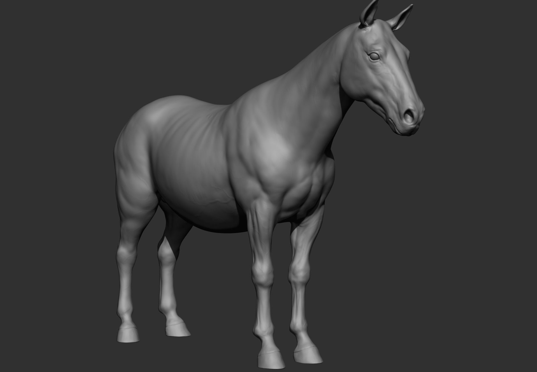 6 Horse types 3D model_115