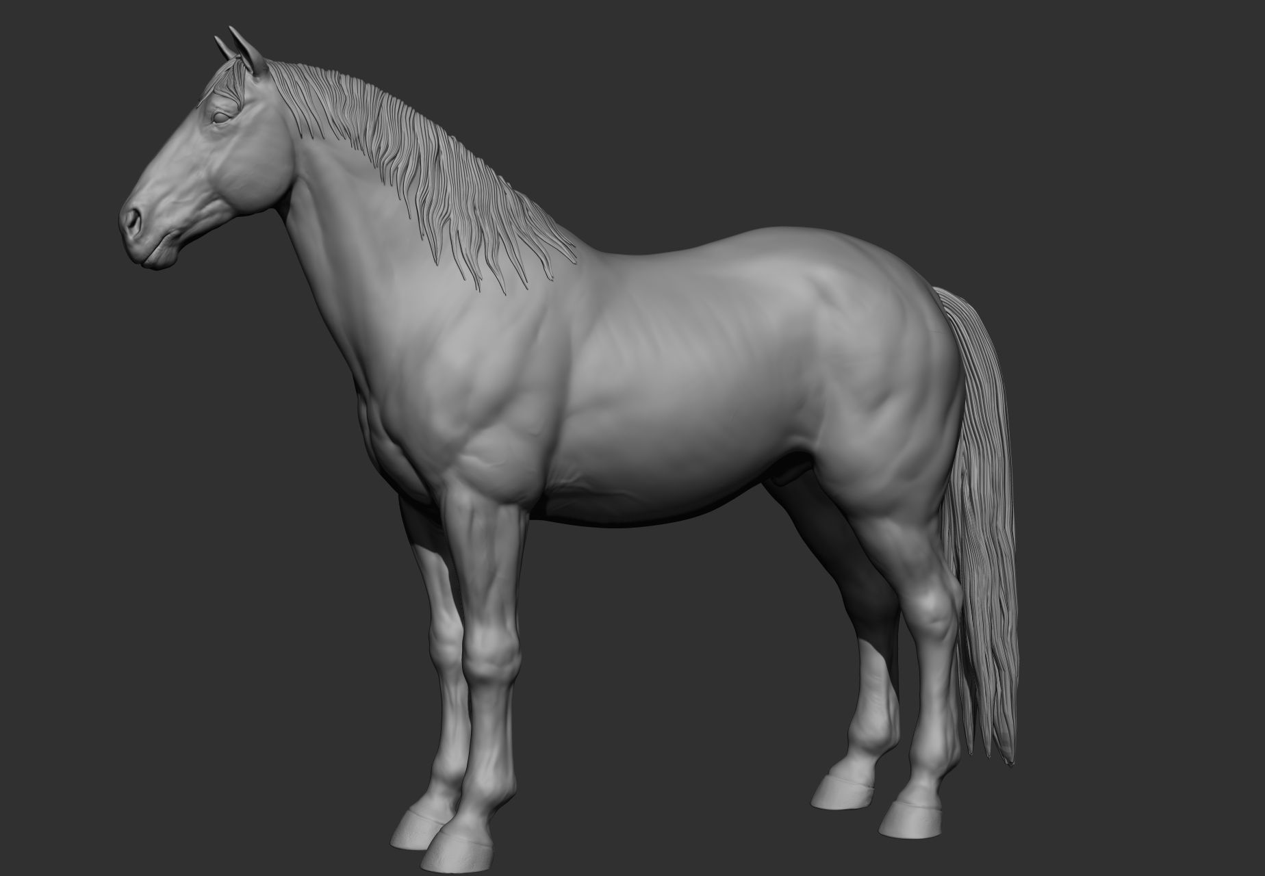 6 Horse types 3D model_72