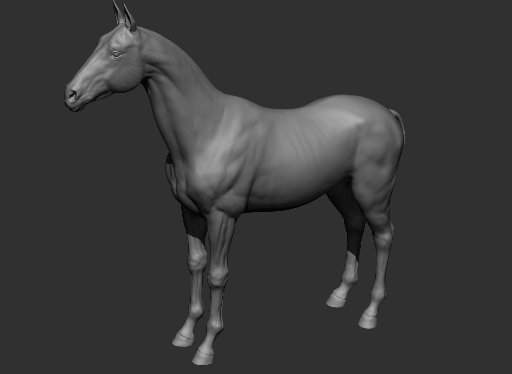 6 Horse types 3D model_99