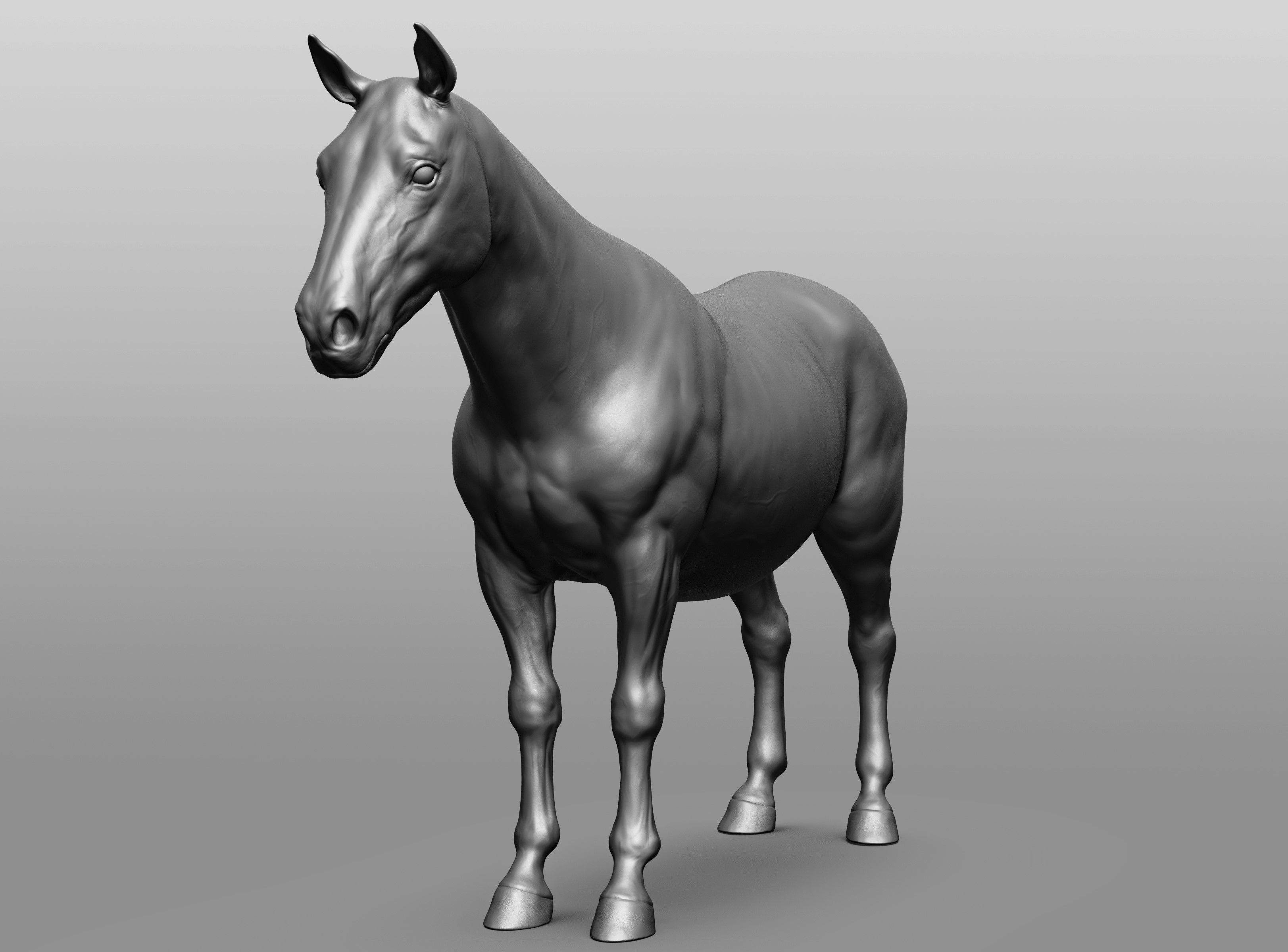 6 Horse types 3D model_109