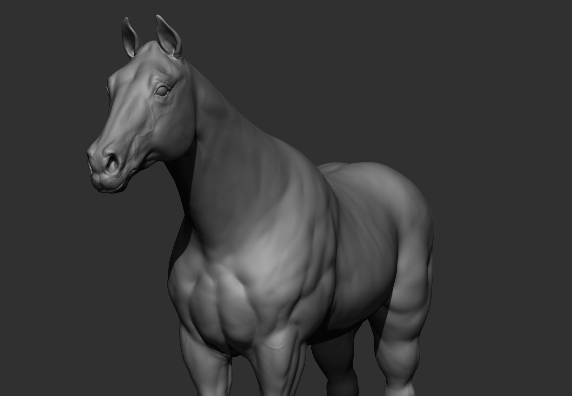 6 Horse types 3D model_87