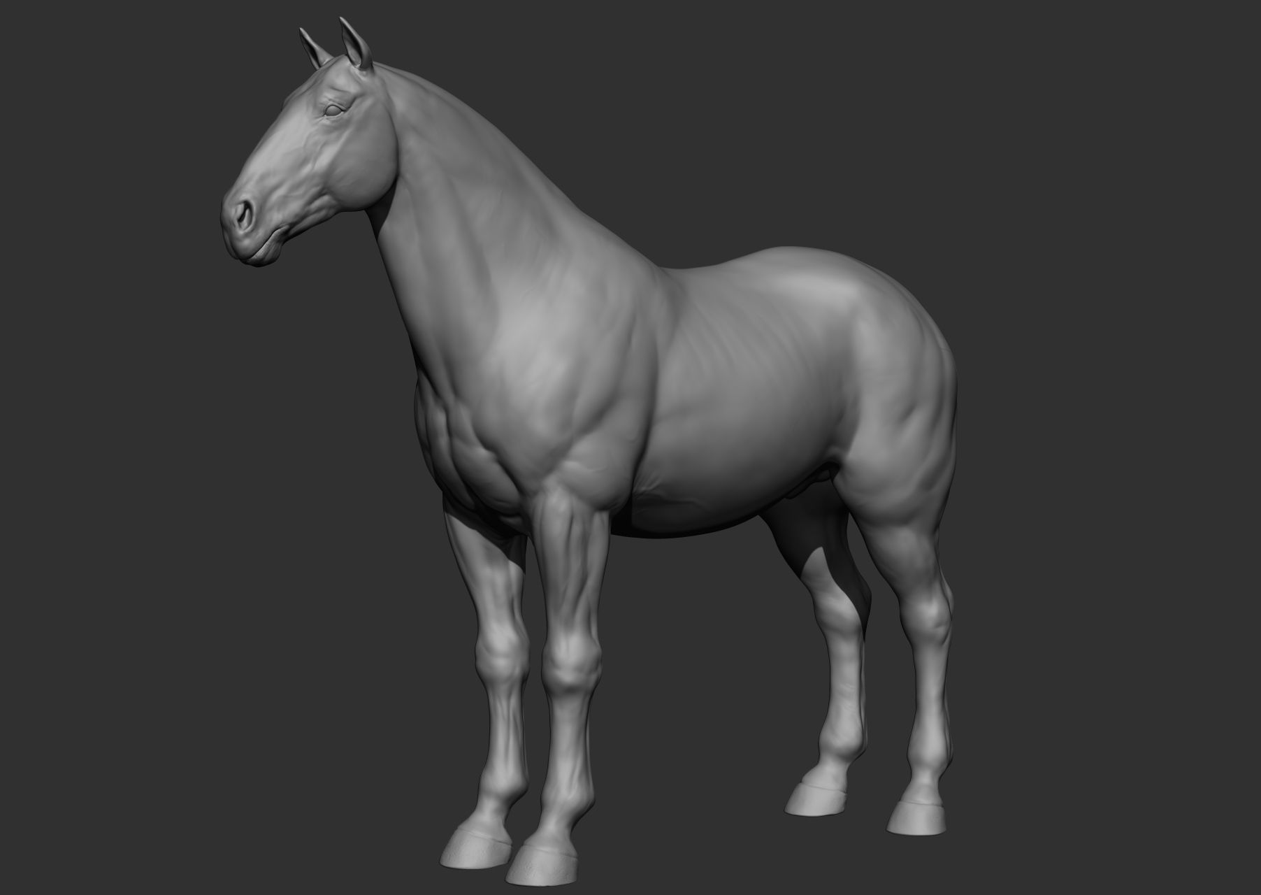 6 Horse types 3D model_64