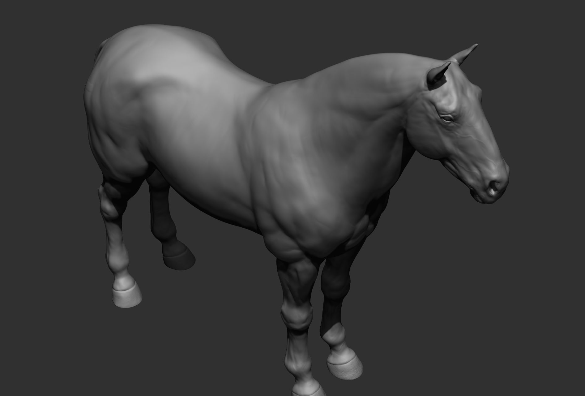 6 Horse types 3D model_70