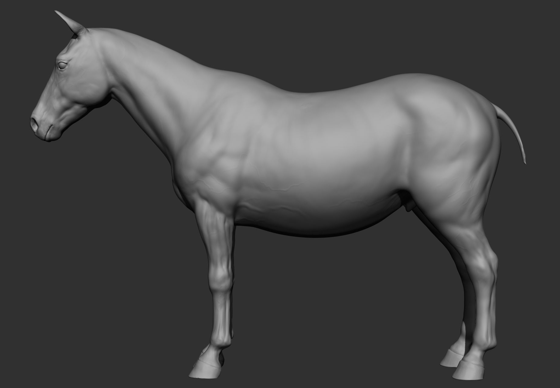 6 Horse types 3D model_112