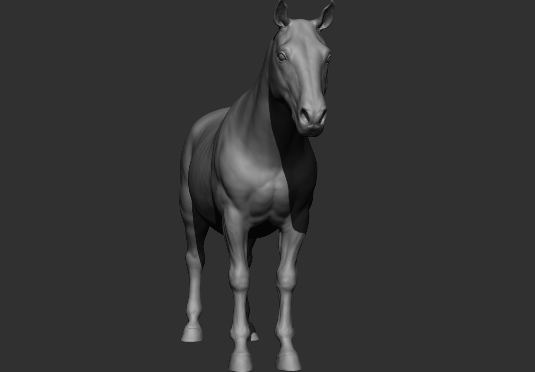 6 Horse types 3D model_116
