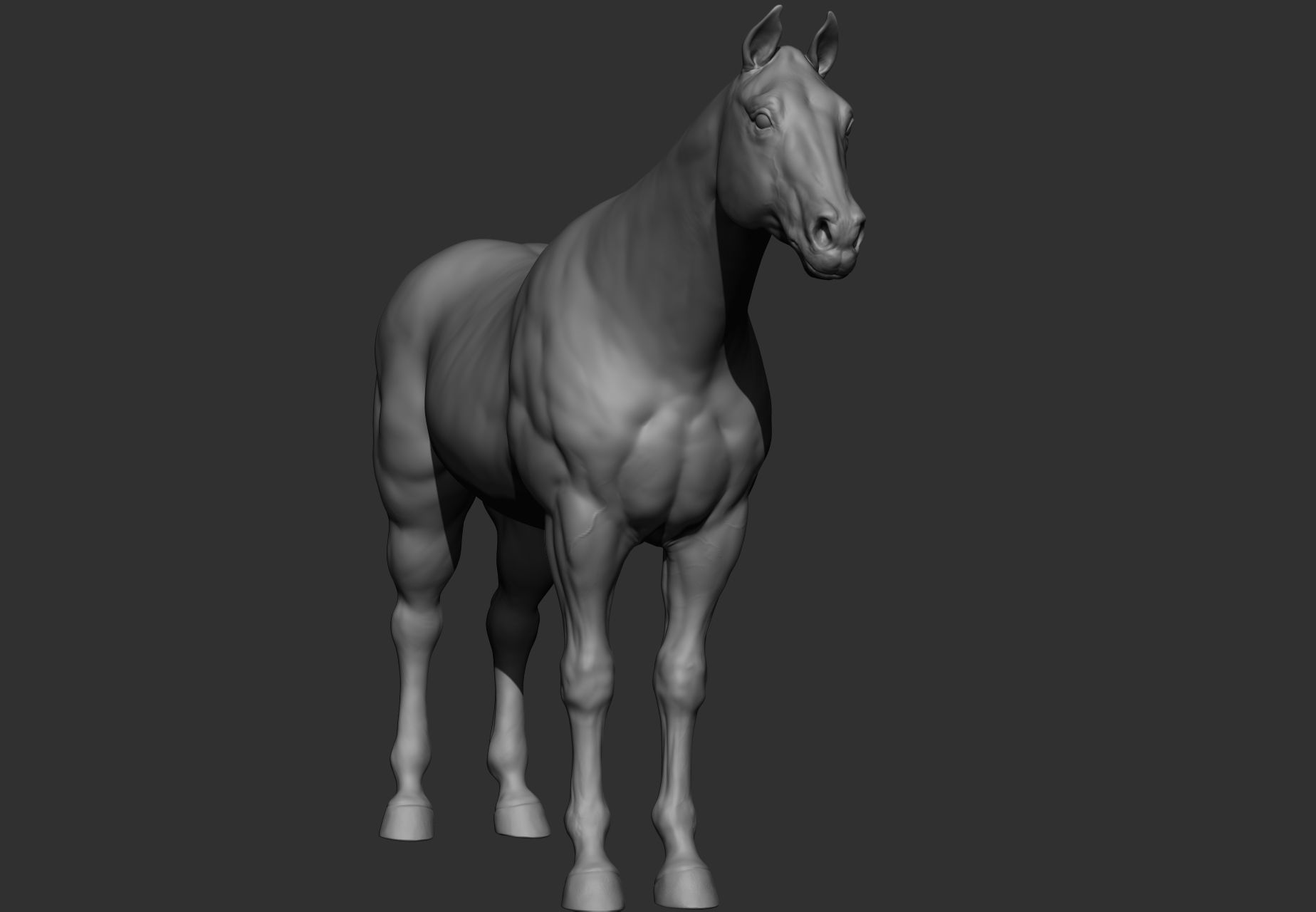 6 Horse types 3D model_85