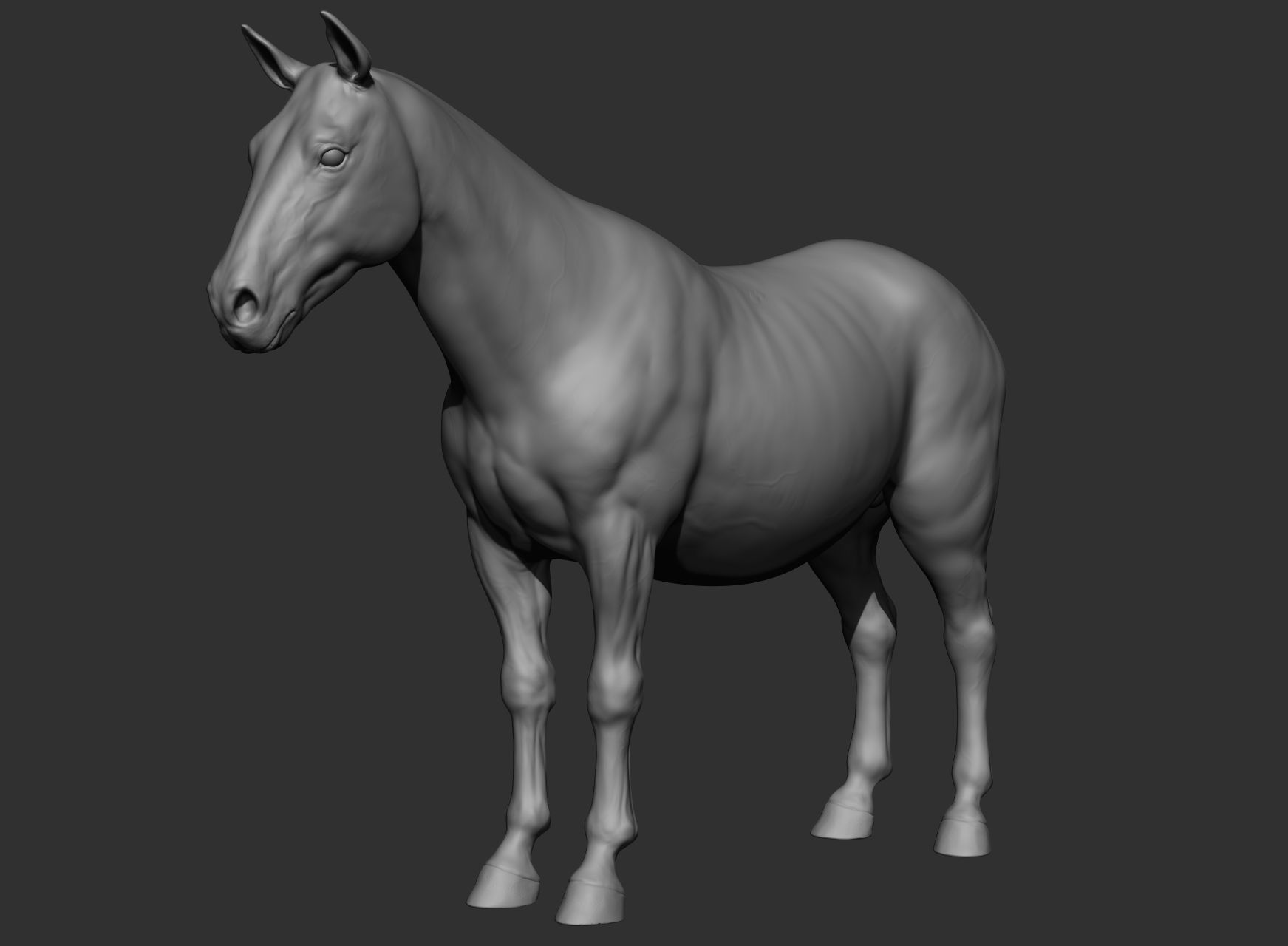 6 Horse types 3D model_111