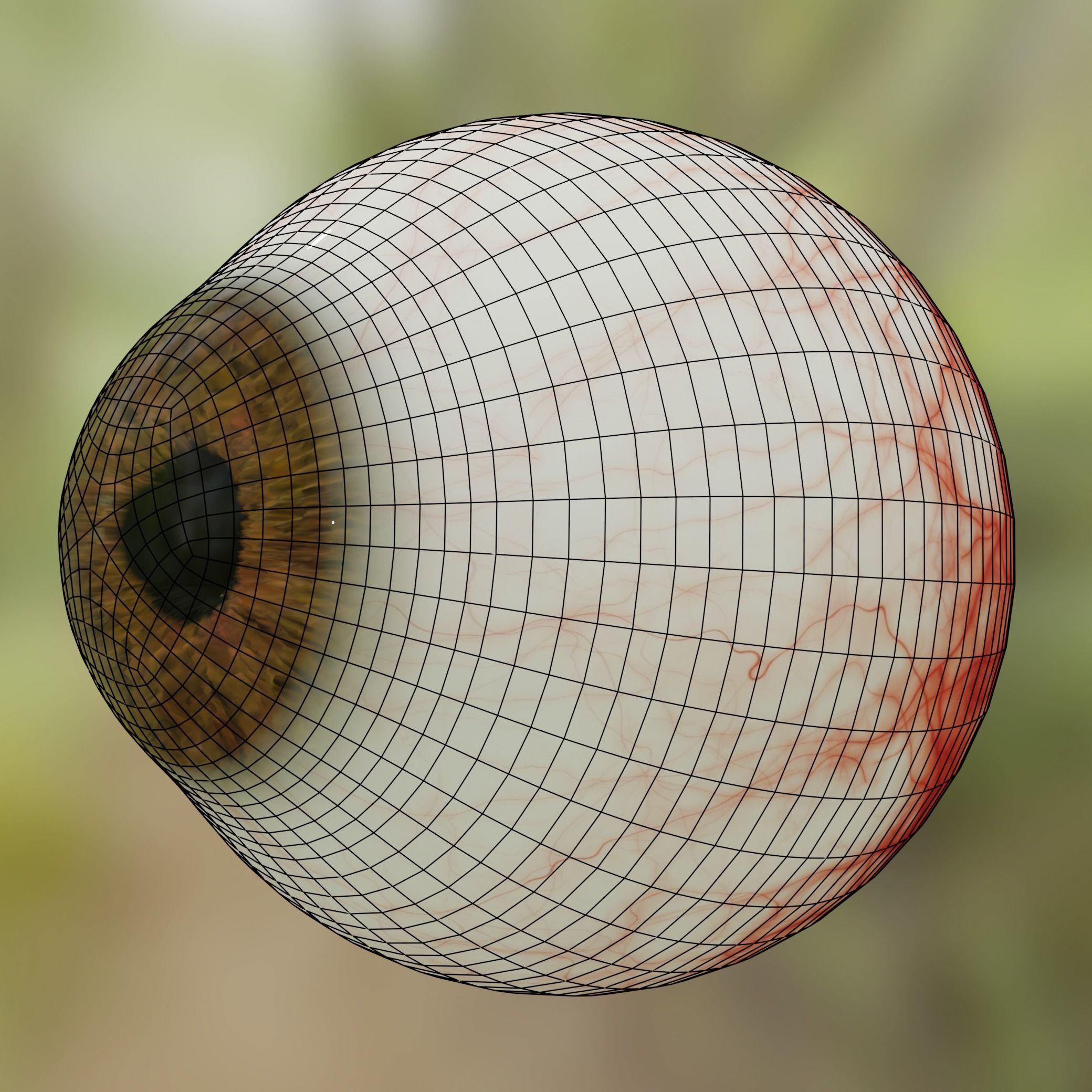 Human eye Photorealistic 3D model Low-poly 3D model_5