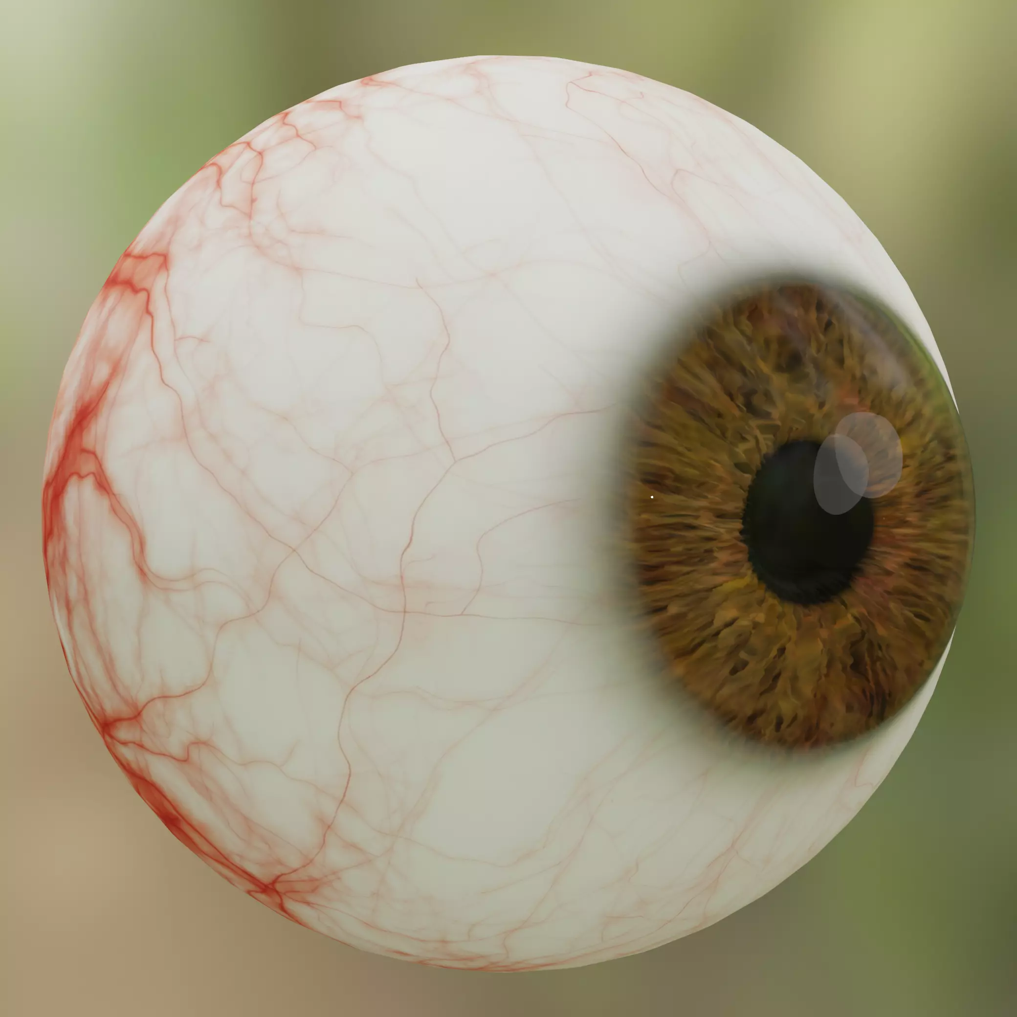 Human eye Photorealistic 3D model Low-poly 3D model_0