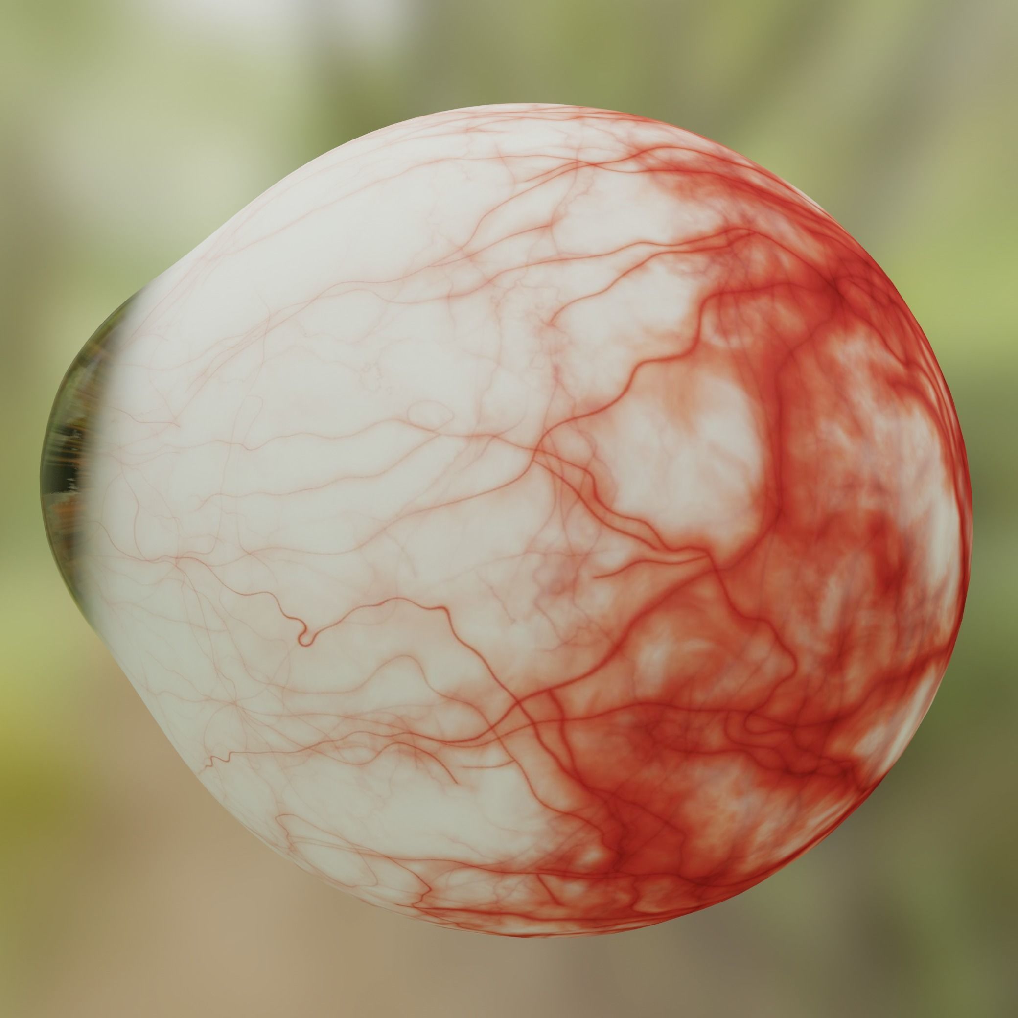 Human eye Photorealistic 3D model Low-poly 3D model_2