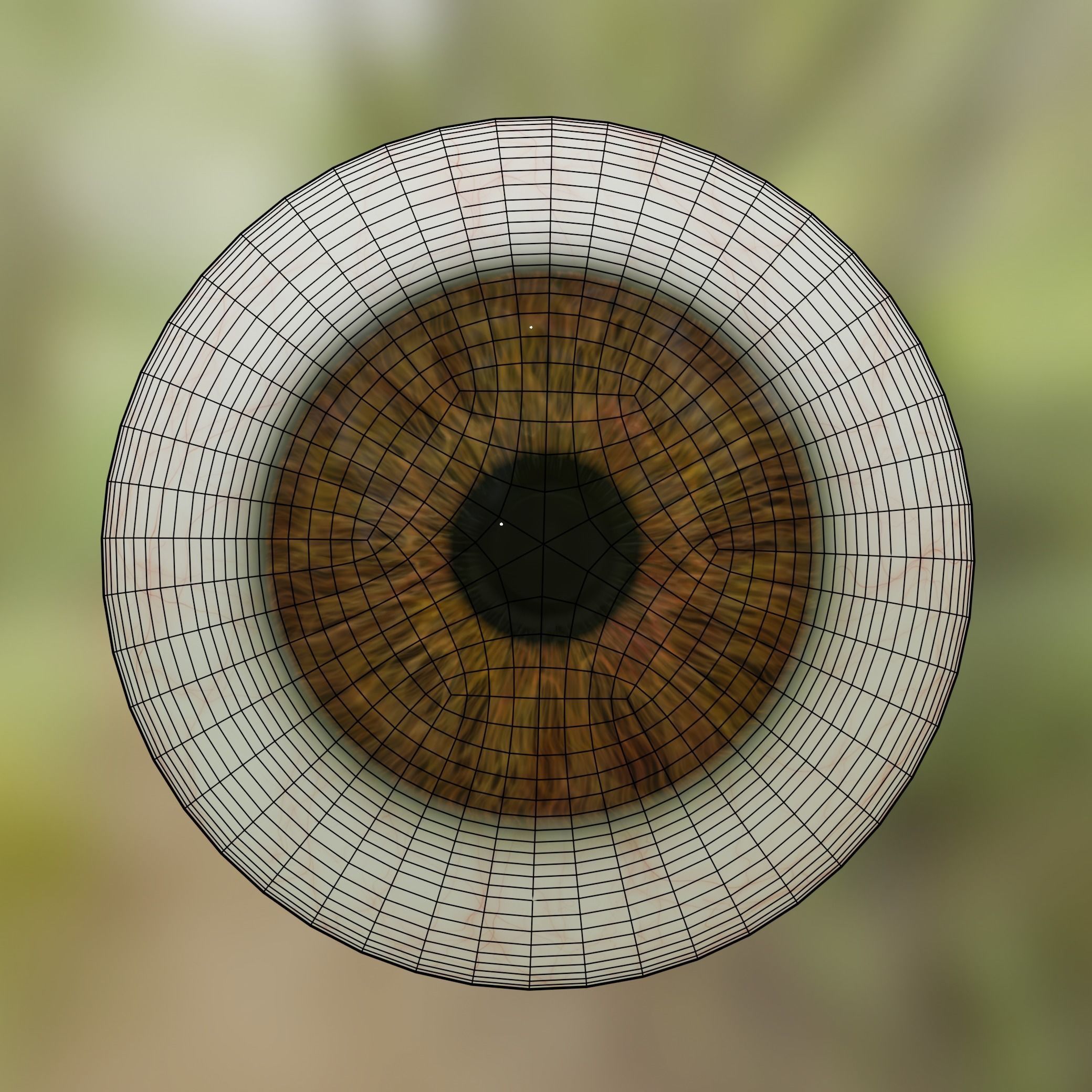 Human eye Photorealistic 3D model Low-poly 3D model_6