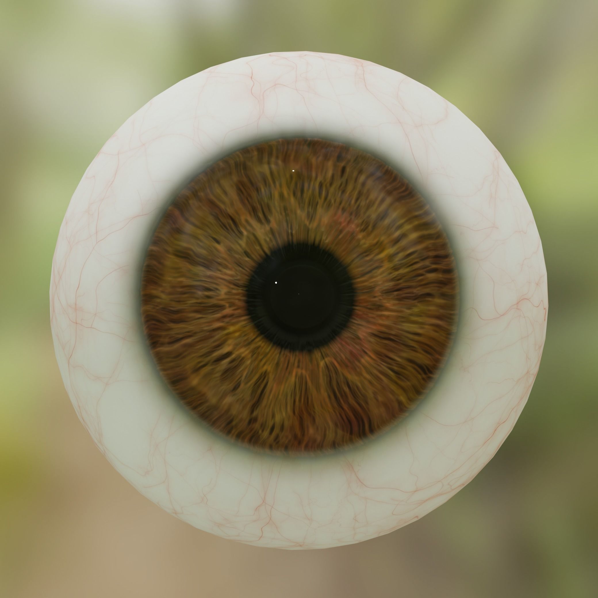 Human eye Photorealistic 3D model Low-poly 3D model_1