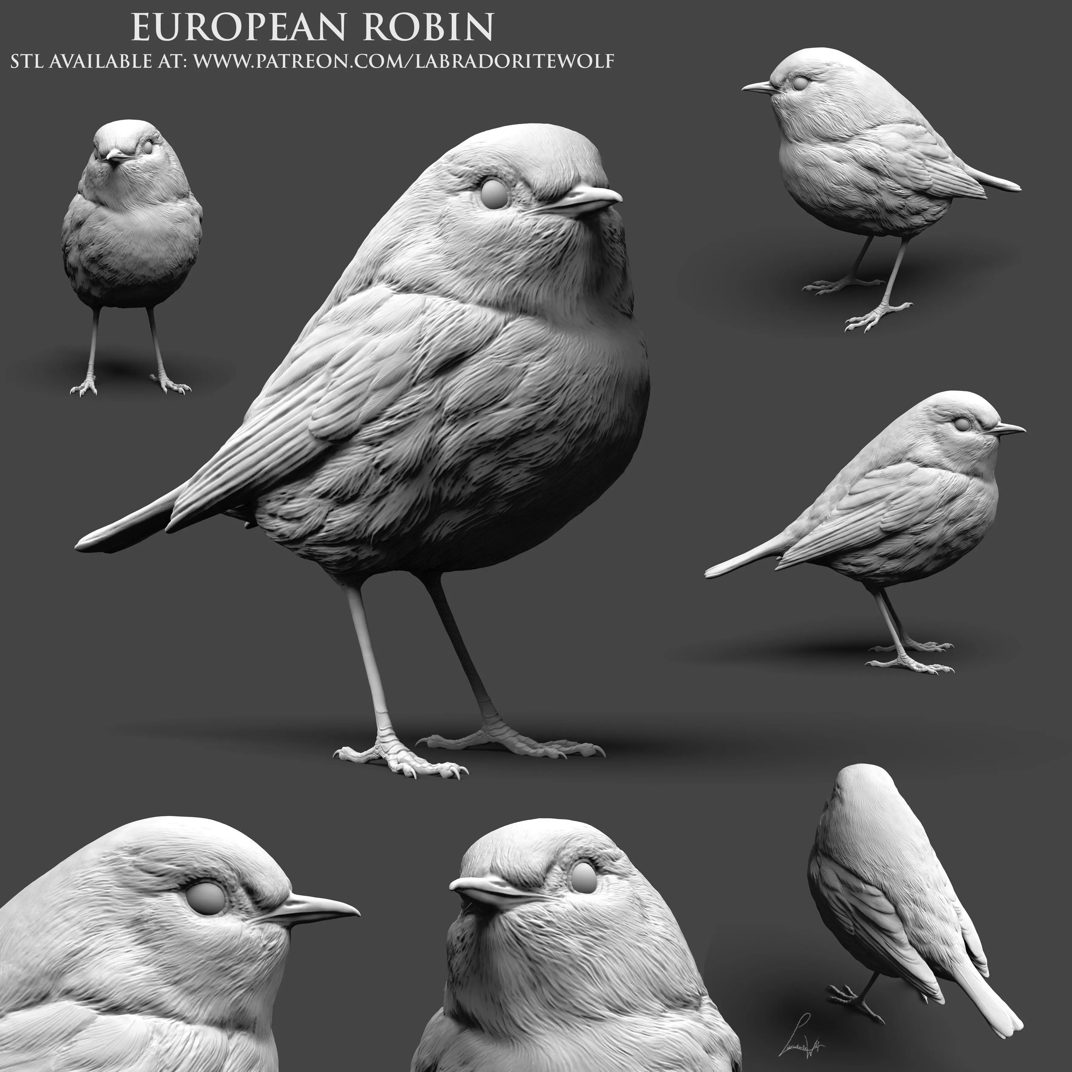 European Robin 3D print model_0