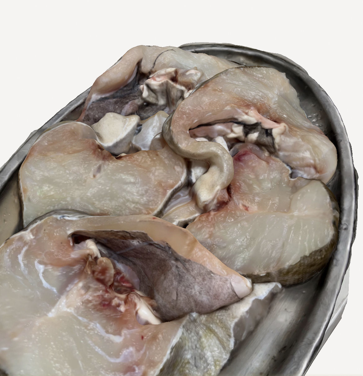 Chopped Raw Fish 3D print model_2