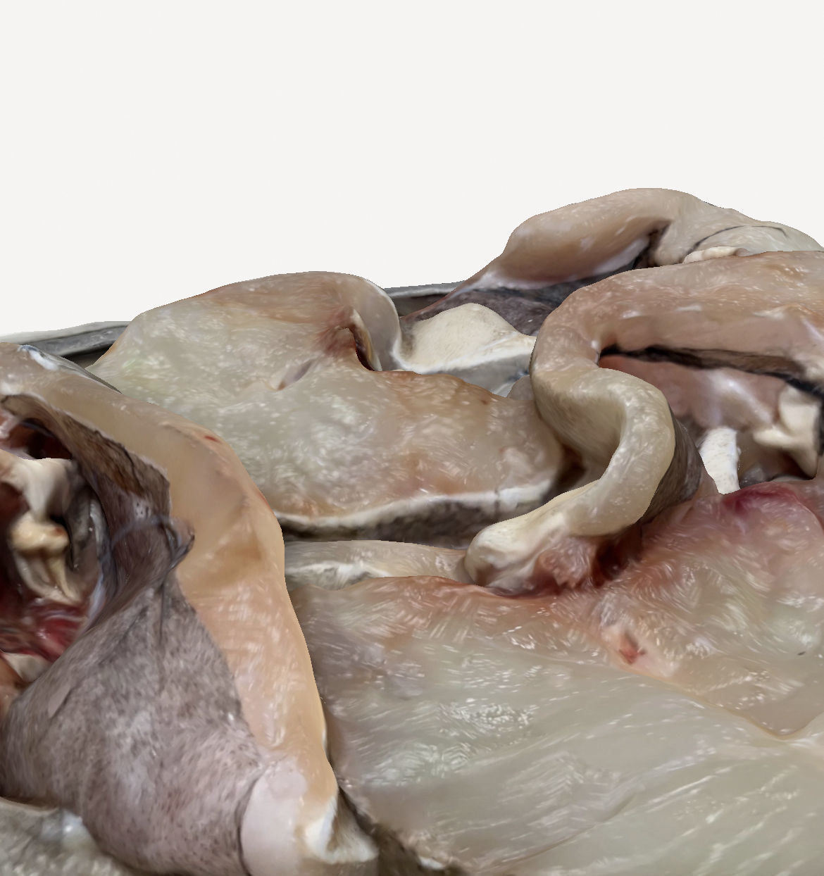 Chopped Raw Fish 3D print model_5