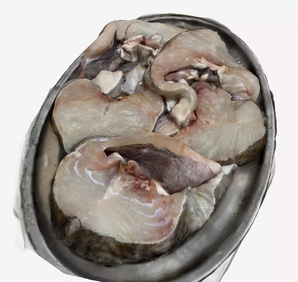 Chopped Raw Fish 3D print model_0