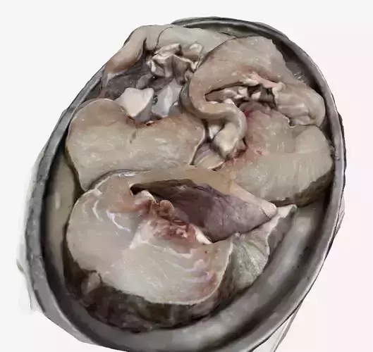 Chopped Raw Fish 3D print model