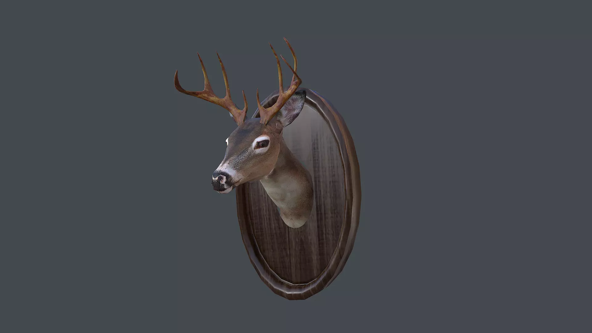 Deer Head Taxidermy Low-poly 3D model