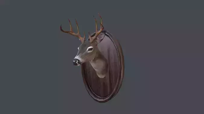 Deer Head Taxidermy