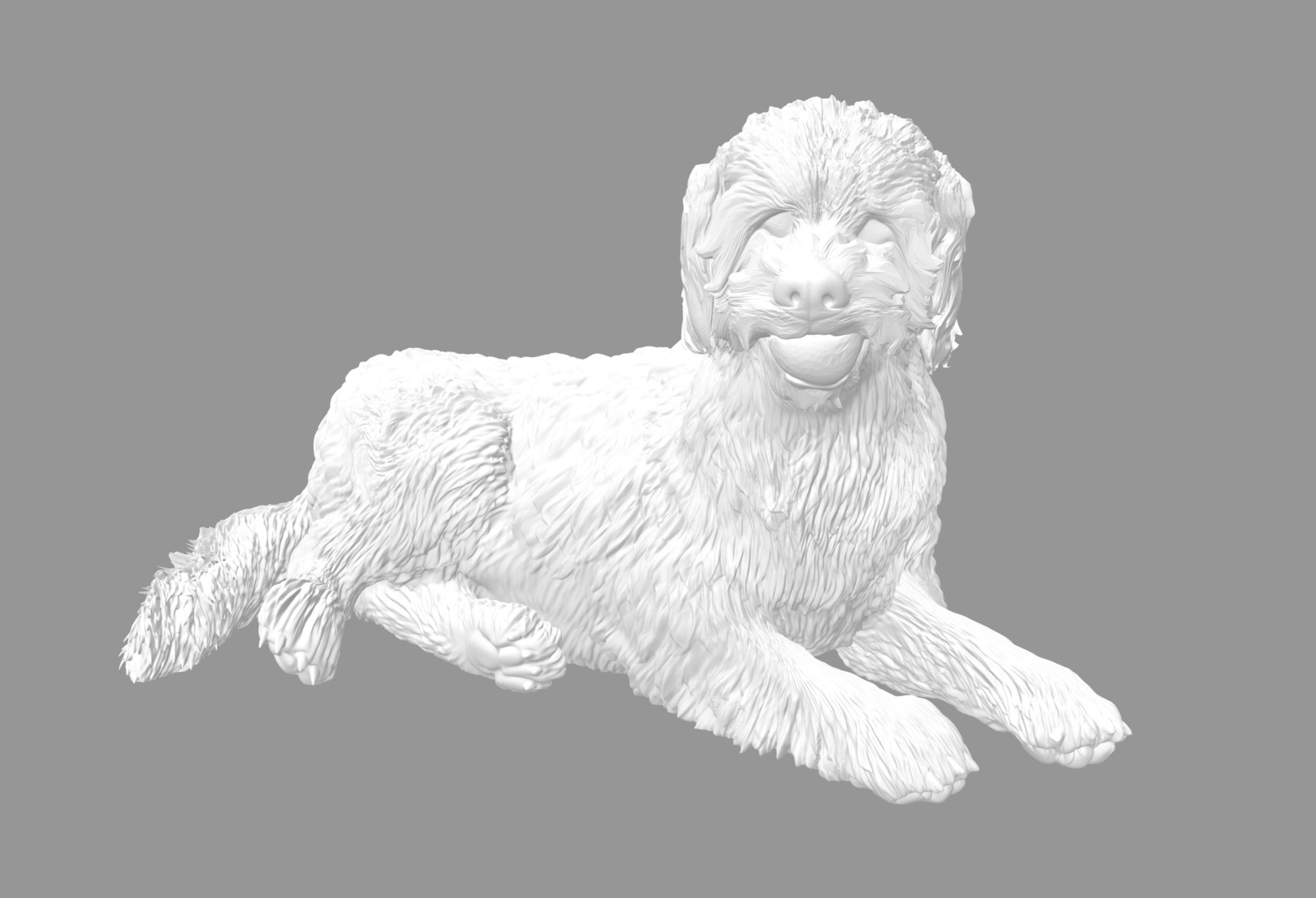 Labradoodle Dog with Ball  3D print model_2