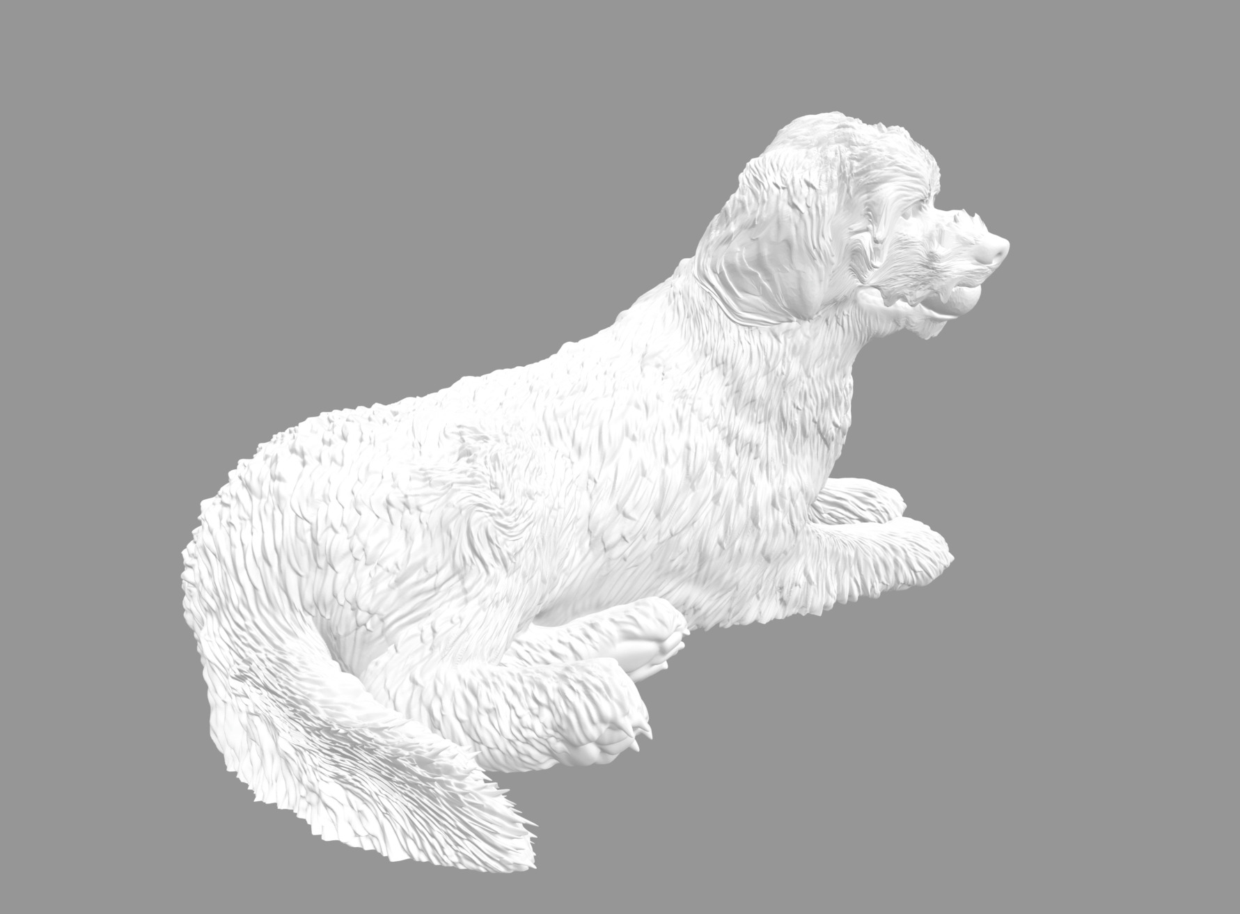 Labradoodle Dog with Ball  3D print model_1