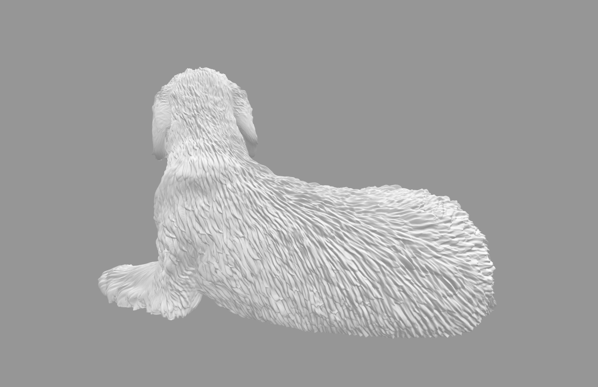 Labradoodle Dog with Ball  3D print model_5