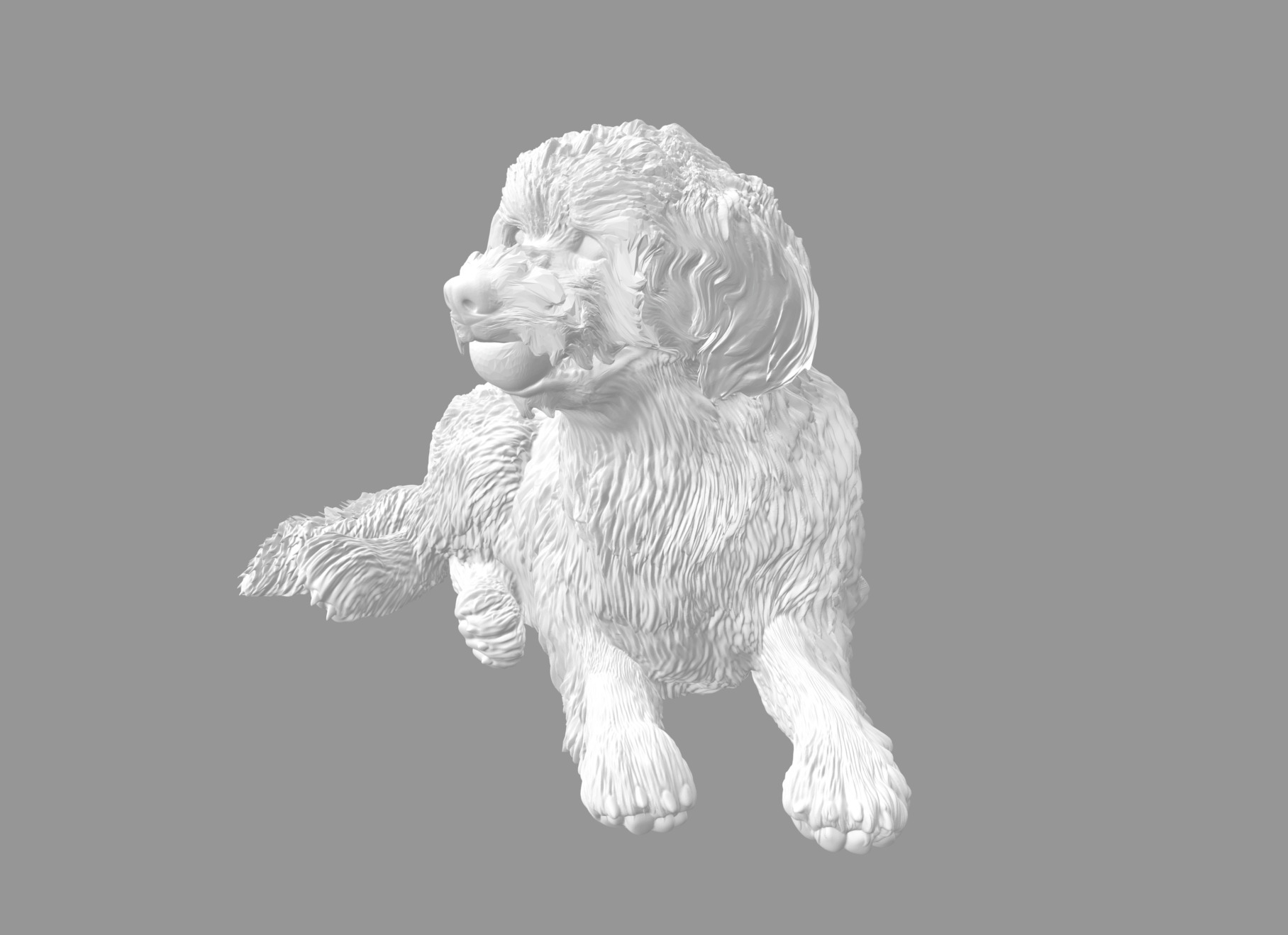 Labradoodle Dog with Ball  3D print model_3