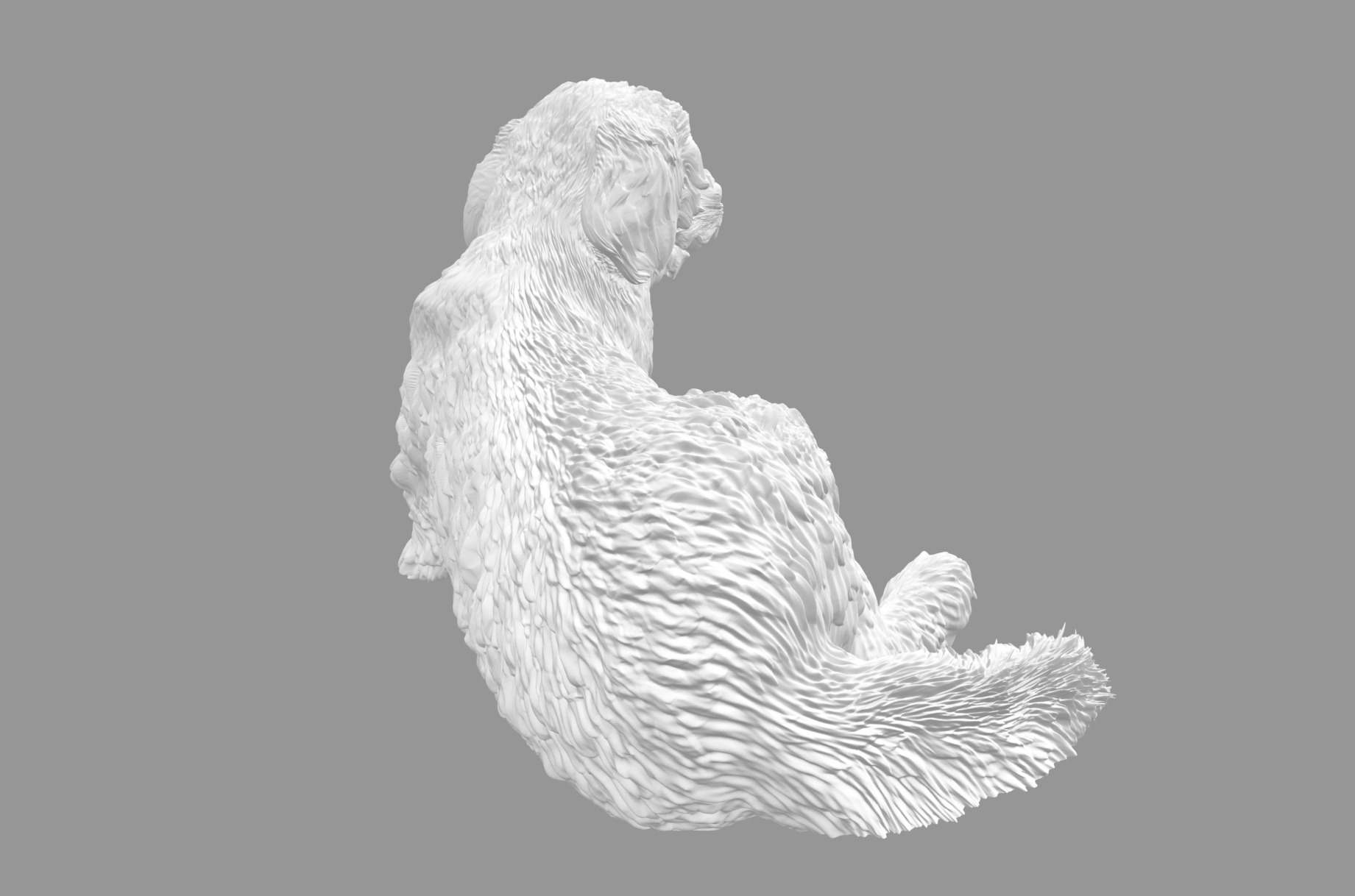 Labradoodle Dog with Ball  3D print model_6