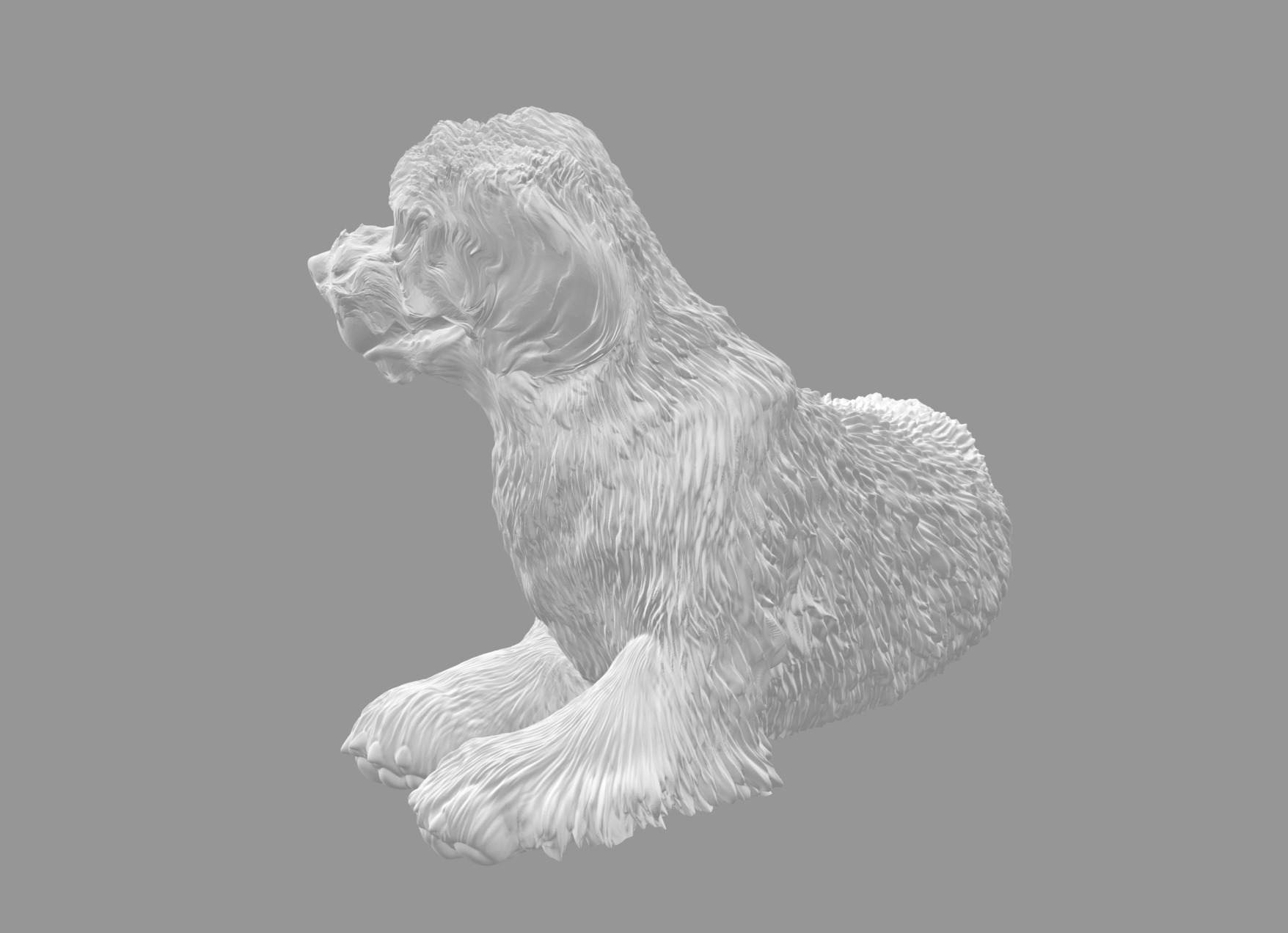 Labradoodle Dog with Ball  3D print model_4