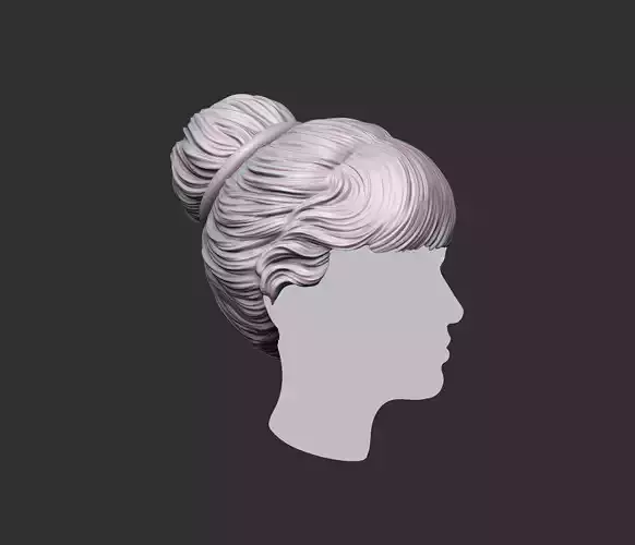 BUN Hairstyle 3D print model