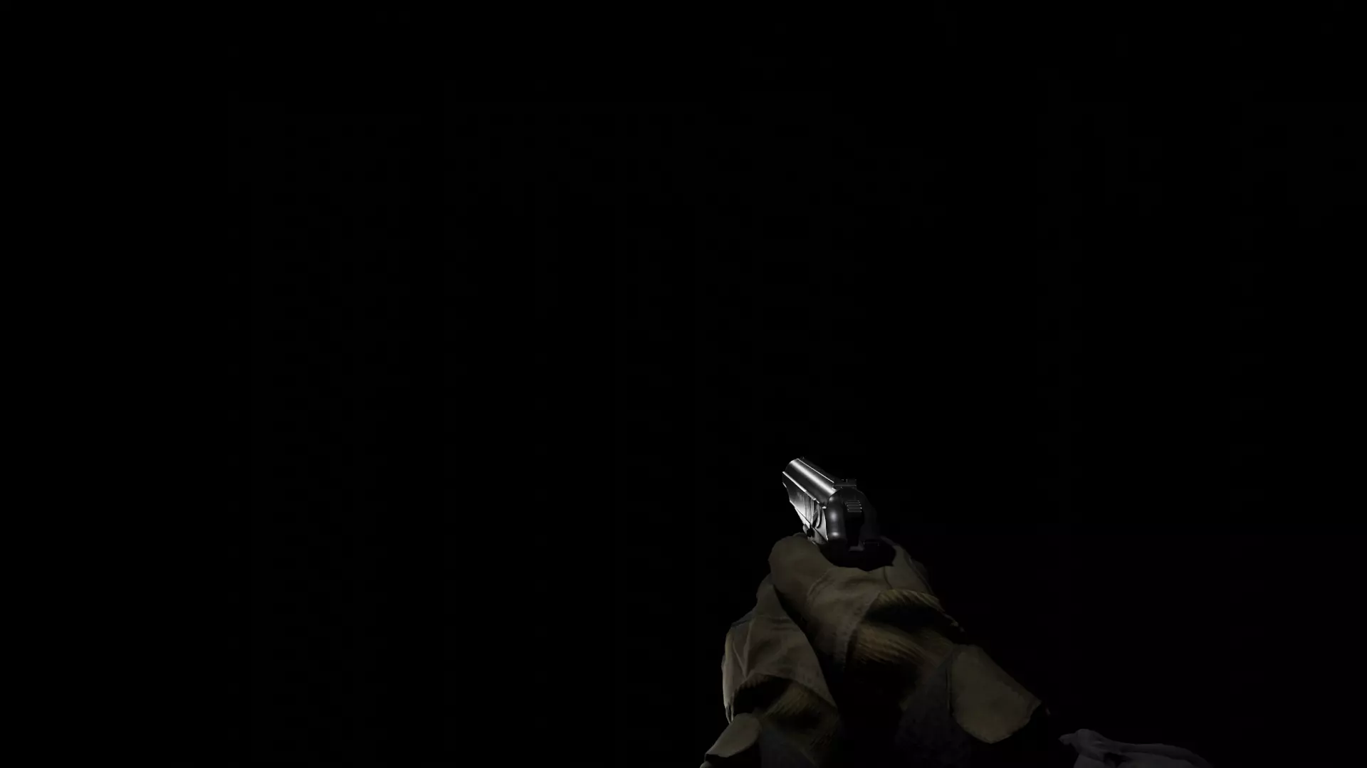 FPS Arms and Makarov Model rig and Animations Low-poly 3D model_0