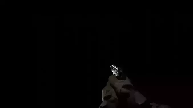 FPS Arms and Makarov Model rig and Animations Low-poly 3D model