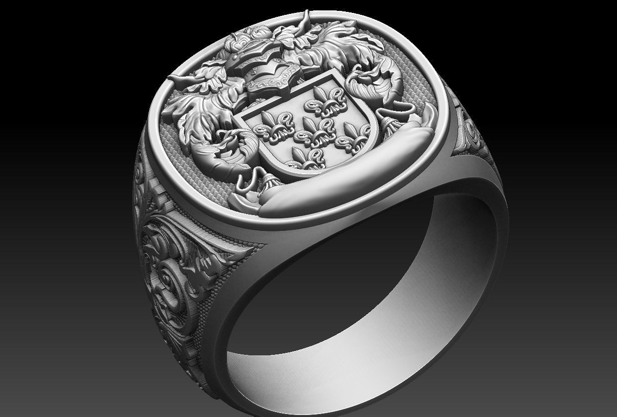 Coat of Arms Family Ring 3D print model_23