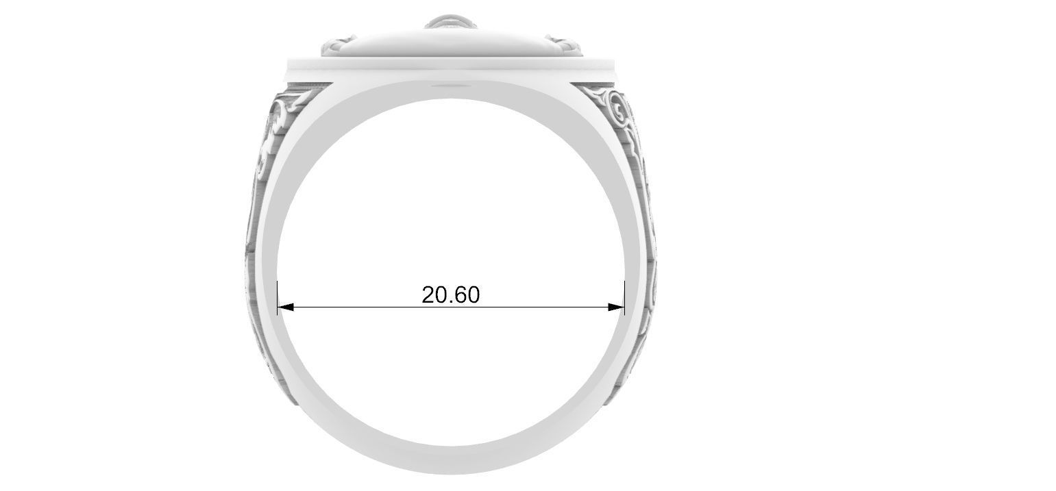 Coat of Arms Family Ring 3D print model_13