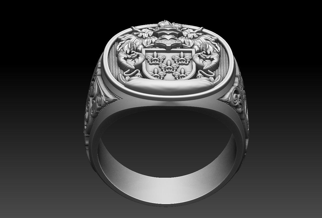 Coat of Arms Family Ring 3D print model_1