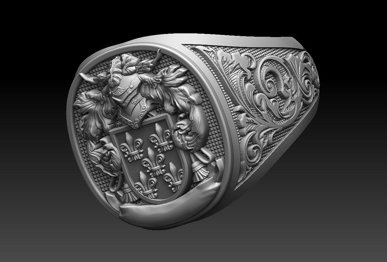 Coat of Arms Family Ring 3D print model_22