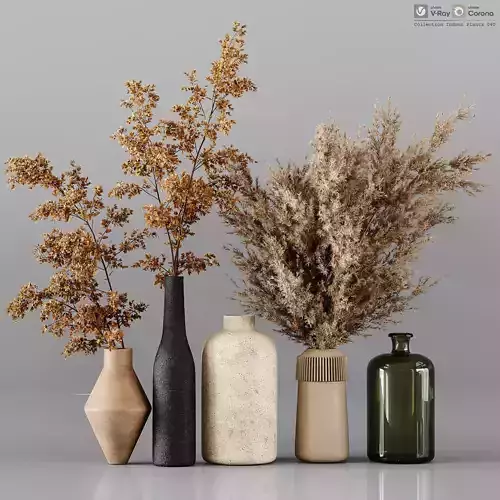 Collection Indoor Plants 040