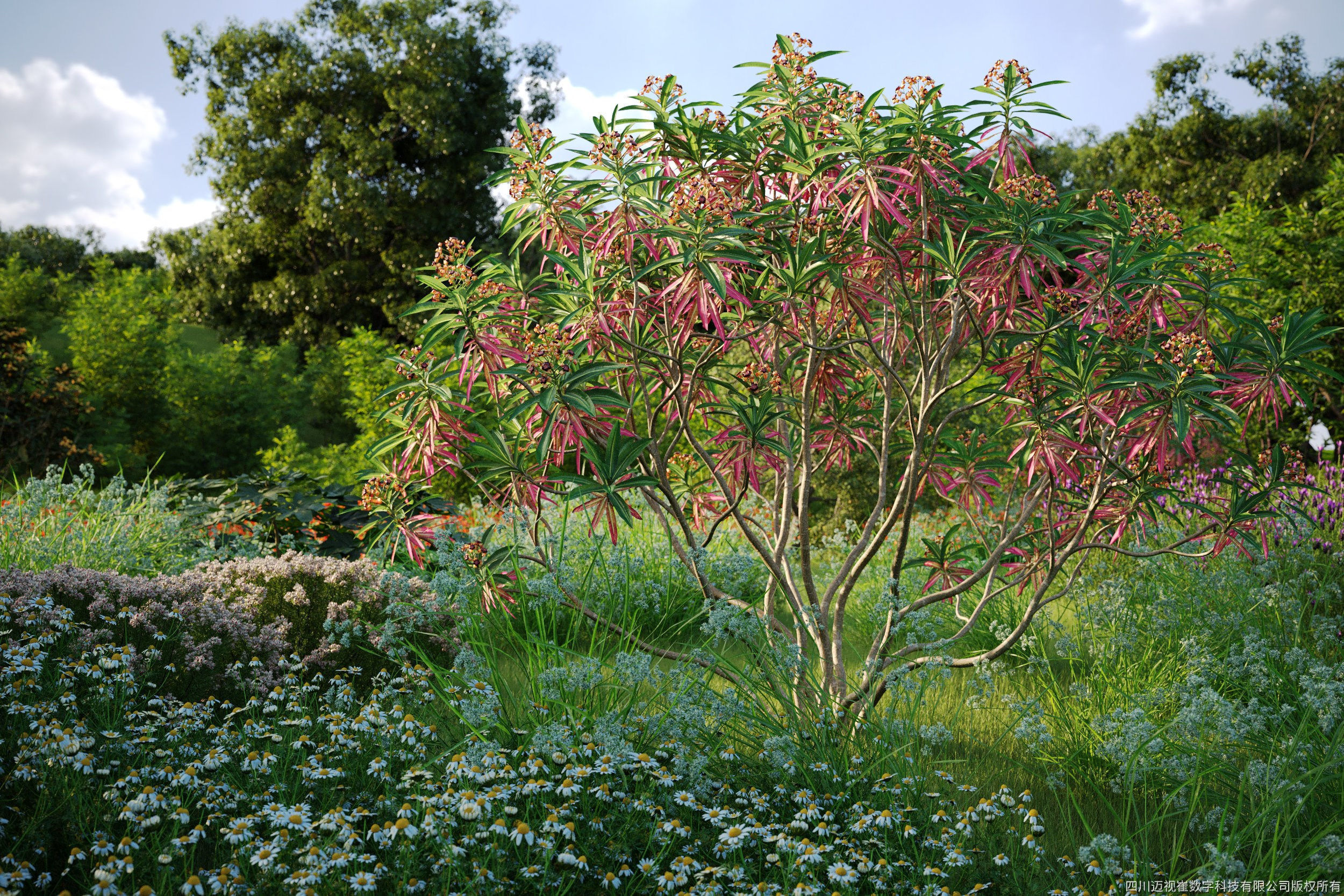 Maxtree Plant Models Vol 61 - Mesh 3D model_1