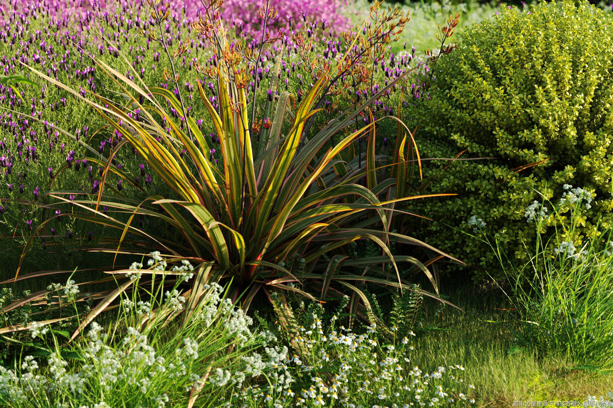 Maxtree Plant Models Vol 61 - Mesh 3D model_3