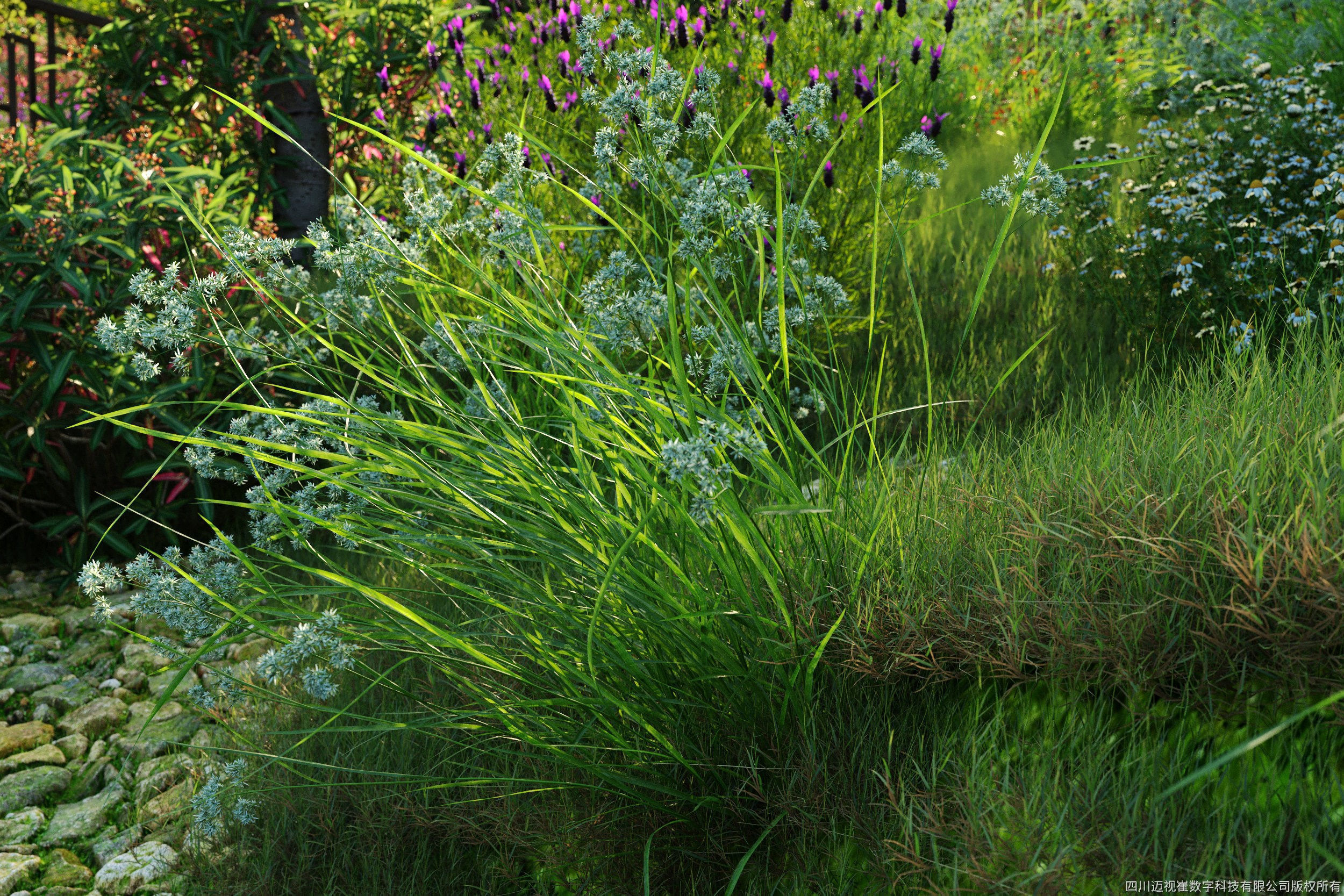 Maxtree Plant Models Vol 61 - Mesh 3D model_2