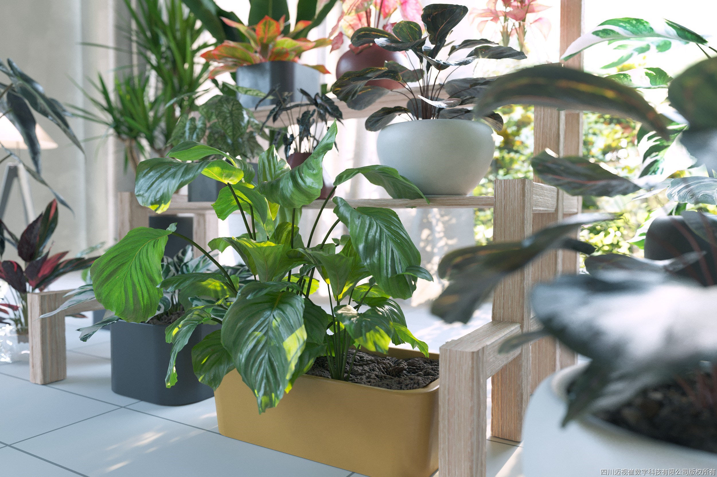 Maxtree Plant Models Vol 62 - Mesh 3D model | CGTrader