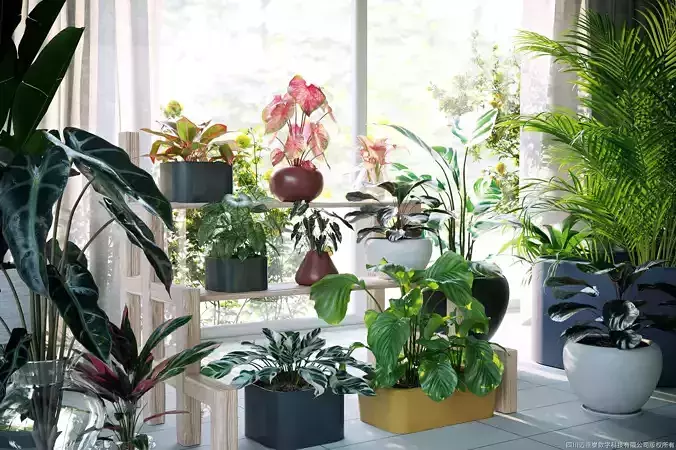 Maxtree Plant Models Vol 62 - Mesh